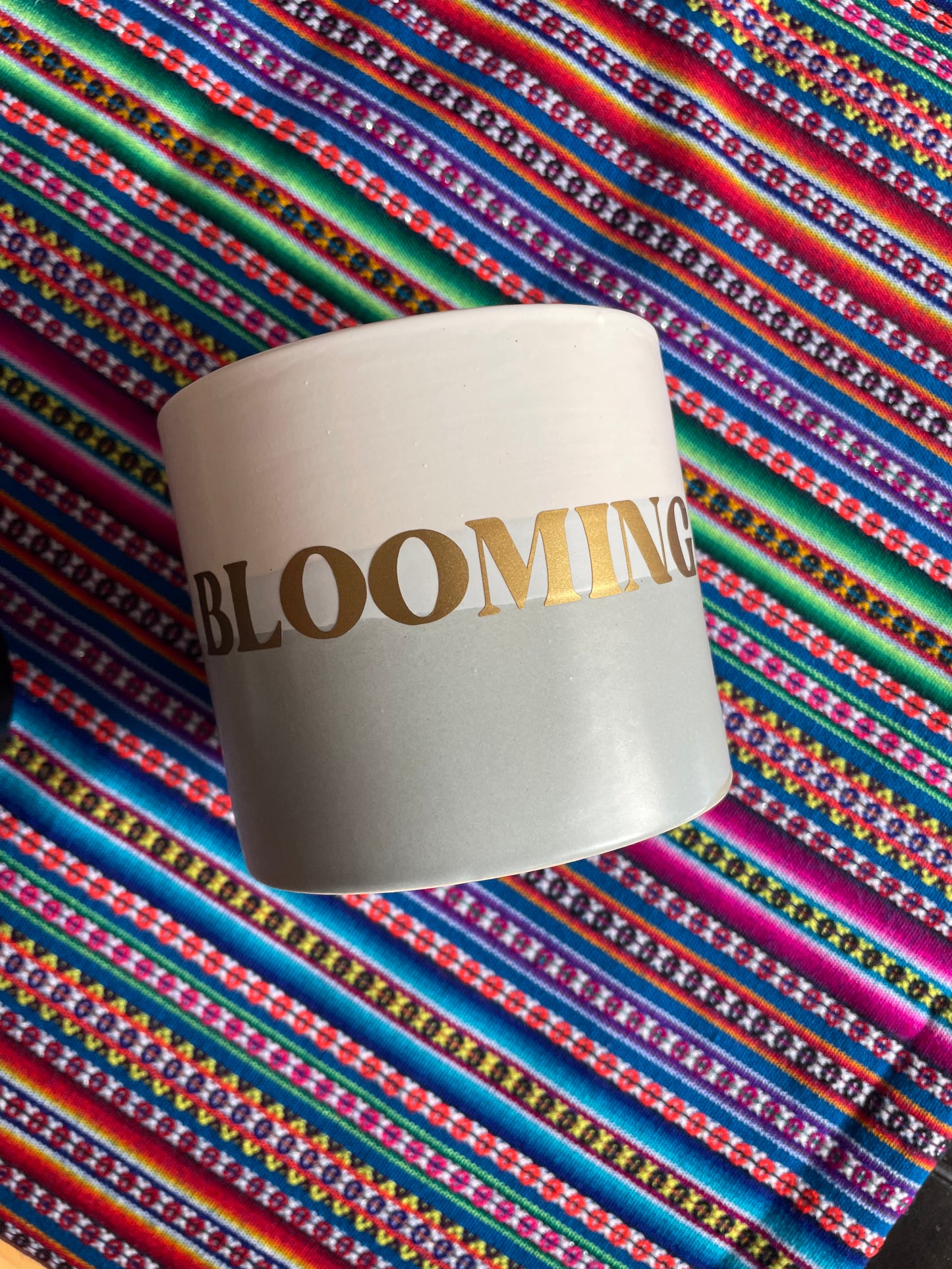 Blooming - Planting pot