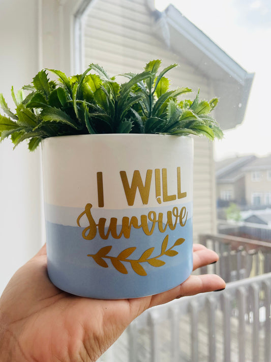 Planting pots - I will survive